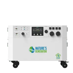 Powerhouse V2 Whole Home Generator