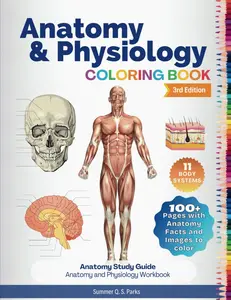 Anatomy and Physiology Coloring Book: Anatomy Study Guide. Anatomy and Physiology Workbook