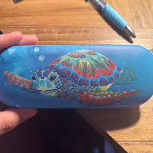 Turtle eyeglass case