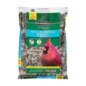 Pennington Classic Dry Wild Bird Feed and Seed, 10 lb. Bag, 1 Pack
