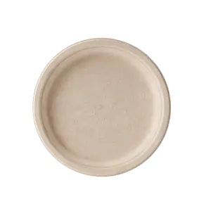 Bulk Compostable Plates | Biodegradable Sugarcane Trays for Burgers, Salads | 100% Biodegradable Microwave Safe | Restaurant Supply