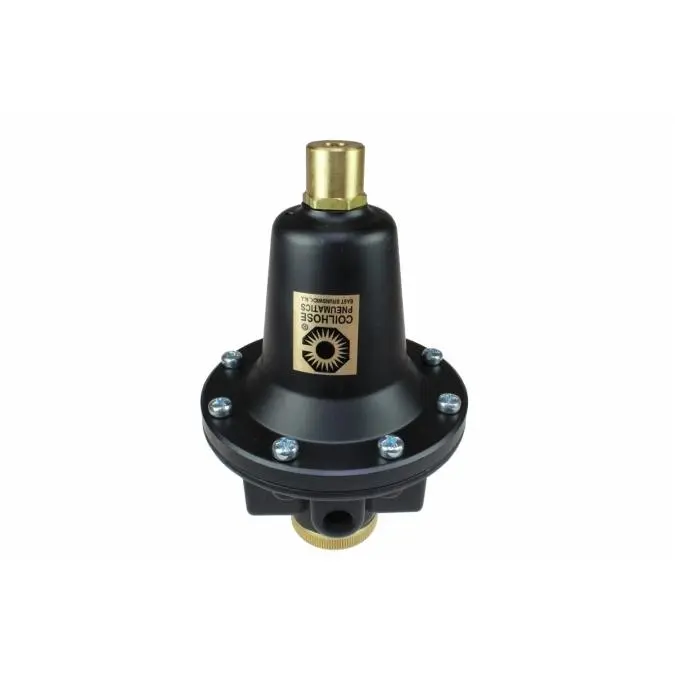 212 MAIN Heavy Duty Industrial Pneumatic Regulator, 0.25 in. NPT Threaded, Tamperproof Lock & Key Control, 250 PSI Max Pressure, Removable Handle