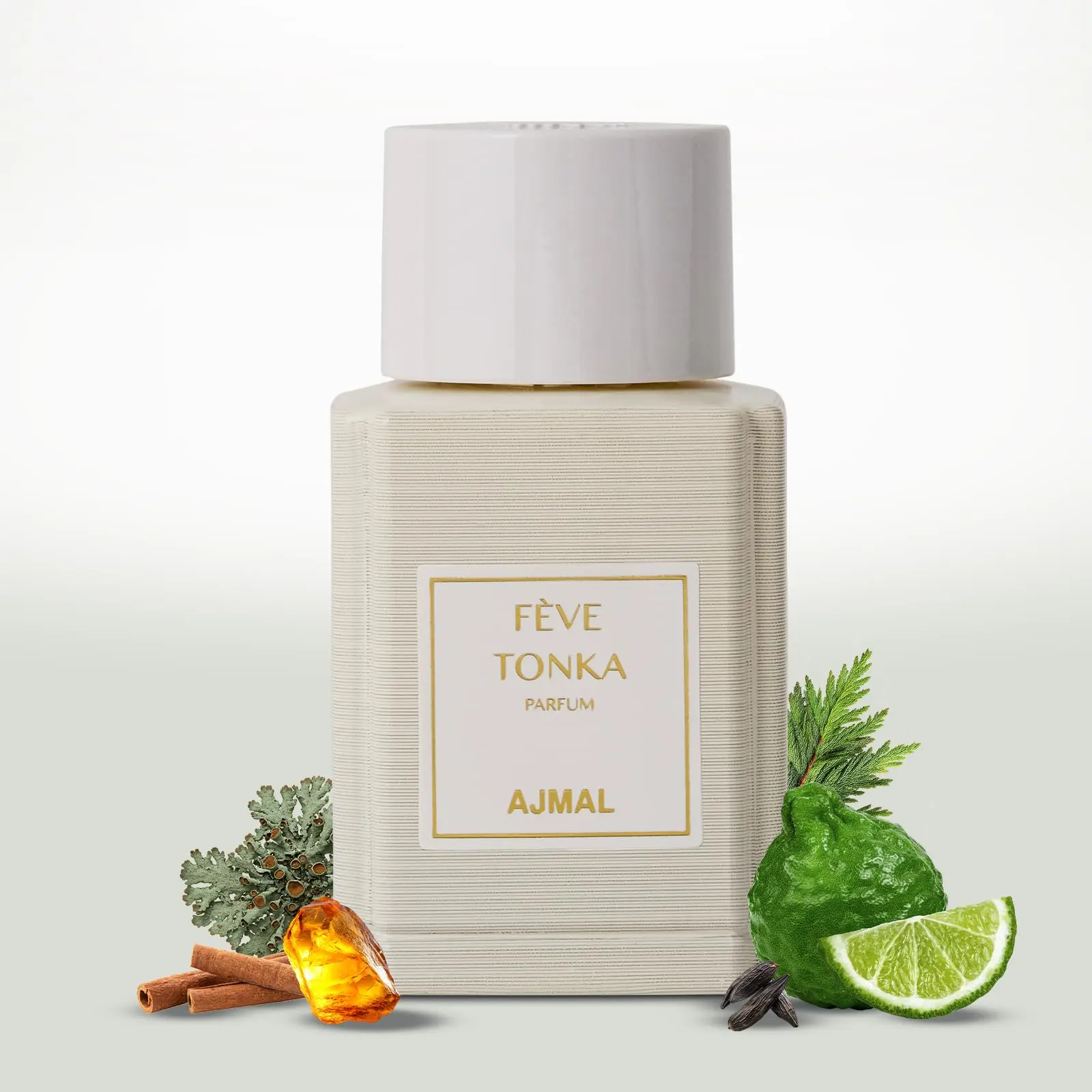 Oud Marquis Fève Tonka Perfume 3.4 Fl Oz / 100 ML For Men