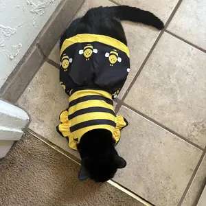 Cute Bee Pet Dress, Bumble Bee Costume for Dogs & Cats, Yellow Cartoon Striped Pet Apparel for Puppy, Kitten & Poodle, Perfect for Party & Halloween