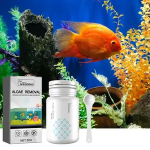 2025New model Dealgal Lichen, Aquarium Cleaning Agent Algae Removal Moss Fish Tank Moss Removal Agent Algae Removal From Green Water