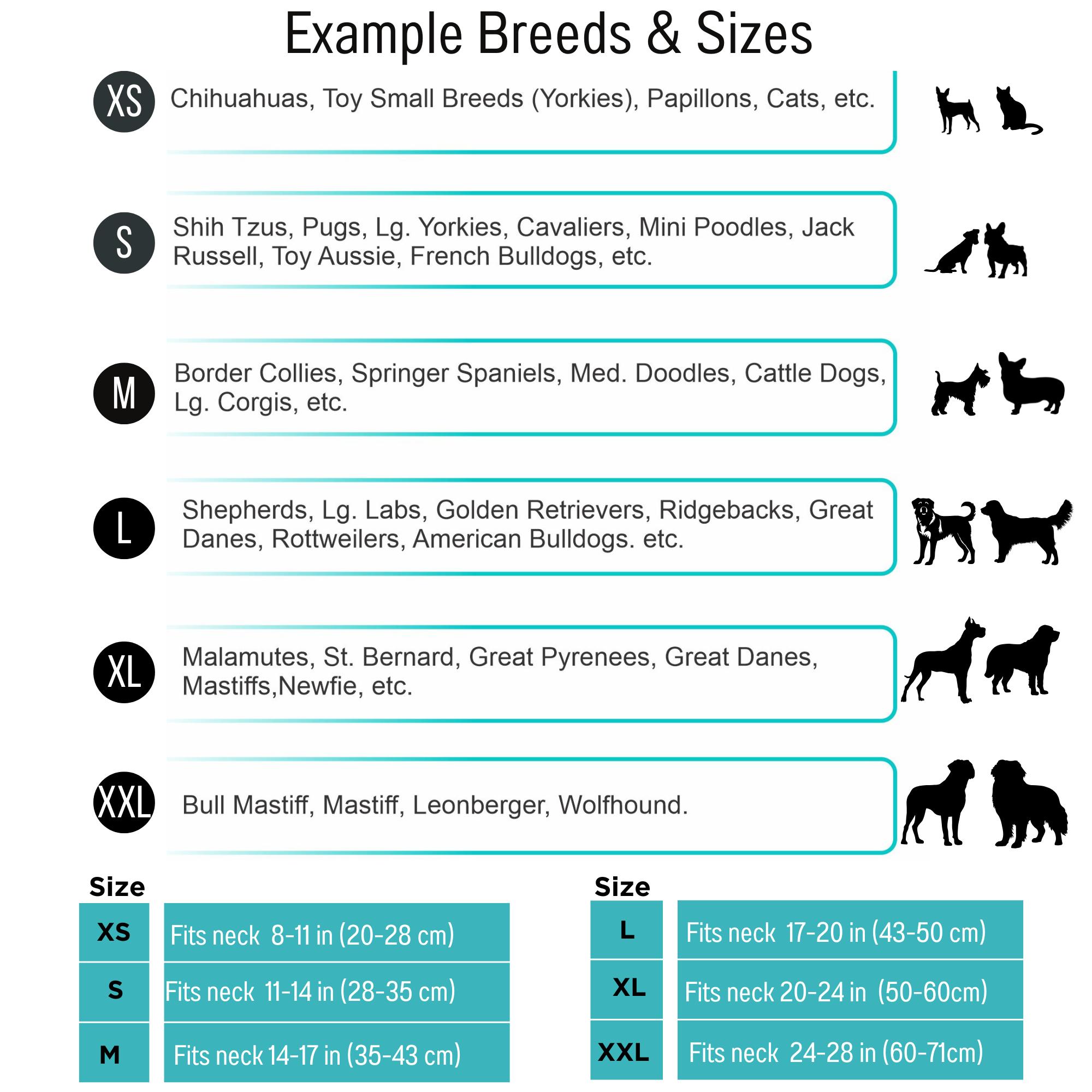 Custom Beaded Name Collar for Dogs and Cats-Easter Small,Medium and Large Pets-Adjustable Handmade in the USA-Personalized Pastel and Cute Bead Colors Custom Beaded Name Collar for Dogs and Cats-Easter Small,Medium and Large Pets-Adjustable Handmade in the USA-Personalized Pastel and Cute Bead Colors