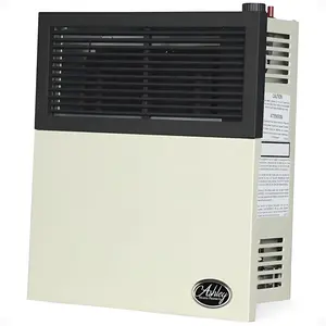 Ashley Hearth Products 11,000 BTU Direct Vent Liquid Propane Wall Mount Heater Ashley Hearth Products 11,000 BTU Direct Vent Liquid Propane Wall Mount Heater