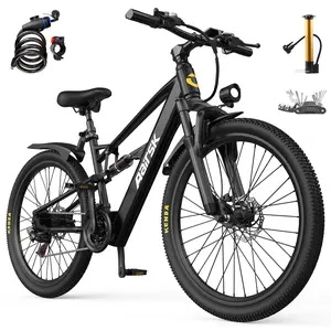 Aarisk electric bike, 26-in, F1, 36V 13Ah, 748W peak power, lithium battery, dual suspension, removable tires, 40-mile maximum range, 13 speeds, LED lights, display and NPC unlocking, dual disc brakes