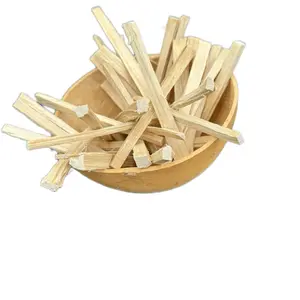 African chewing stick