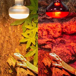 100W Reptile Heat Lamp Bulb 2PCS Day & Night Basking Spot Light Combo Pack with Infrared Heat Lamp and UVA Daylight Heating Lamp for Lizards