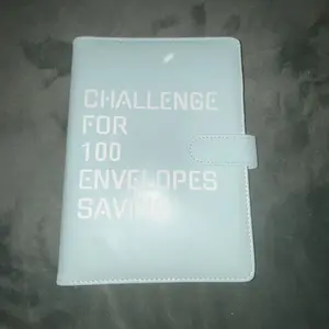 100 Envelopes  Saving Challenge - A5 Money Saver Budget Binder Book with Cash Envelopes and Numbers, 100-Days of Easy and Funny Ways to Save $5,050 Cash Envelope Challenge Binder, Pink