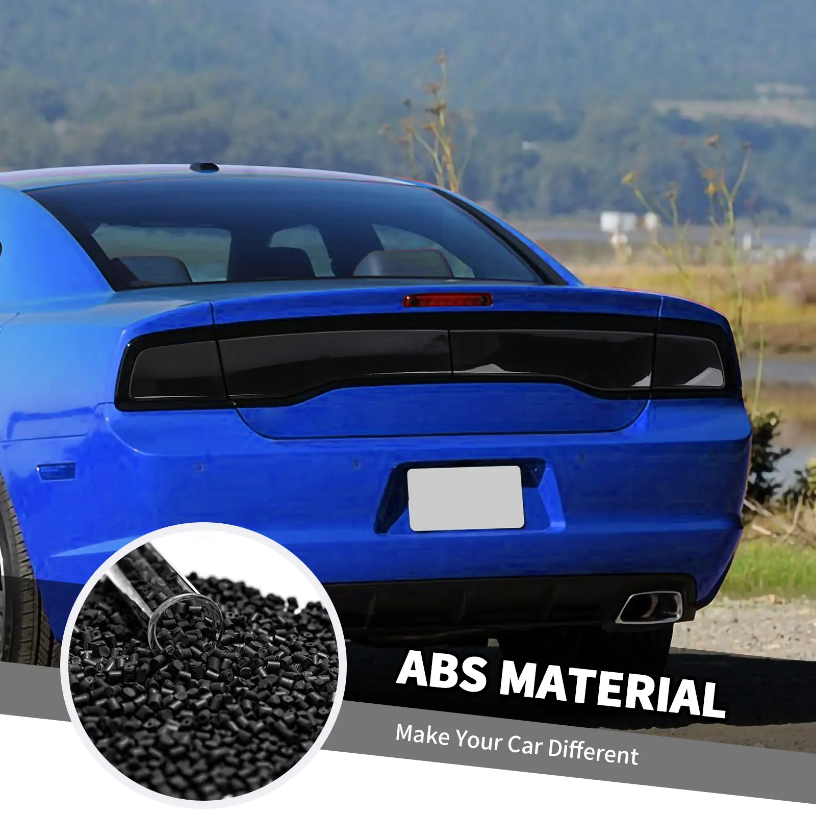 Blackened ABS Custom Headlight & Tail Light Lamp Cover Trim Kit, Automotive Exterior Accessories for Dodge Charger 2011-2014