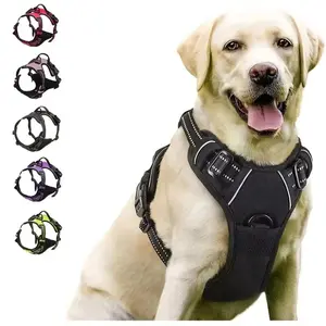 Dog 3-Piece Leather Collar Harness Leash Combo, Adjustable Soft Breathable Puppy Vest Harness Kit, Durable Pet Walking Training Accessories for Small-Medium Dogs (Sports & Outdoor Pet Gear)