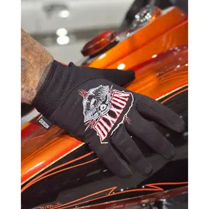 Eagle Eye Moto Gloves