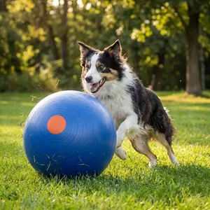18-in Dog Herding Ball, Durable Pet Play Toy for Dogs (Pet Supplies Accessory)