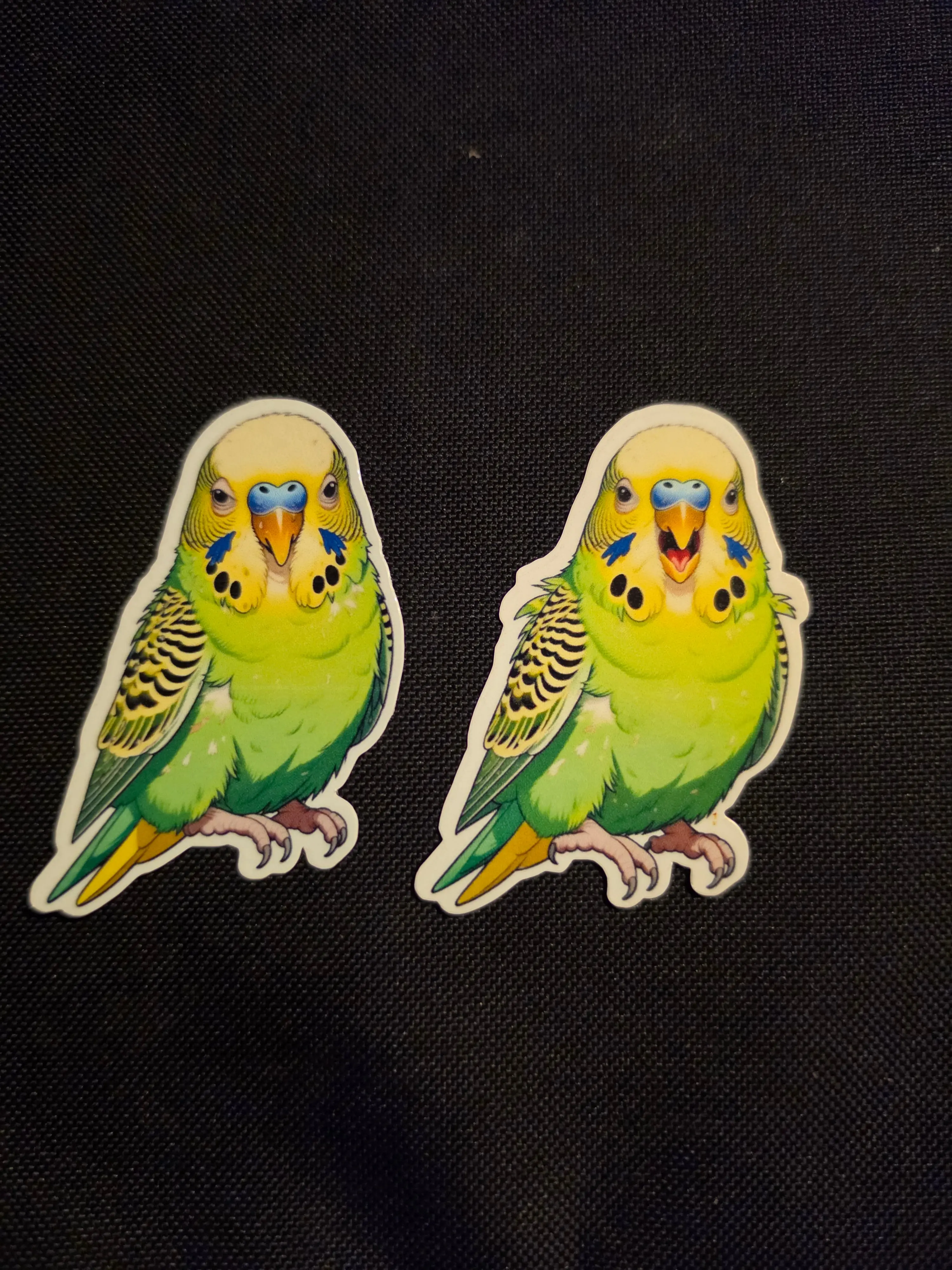 Parakeet Budgie Inspired stickers pack of 2