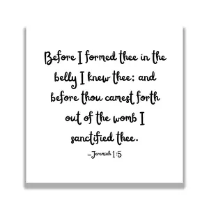 16 Precut Baby-Themed Bible Verse Quilt Squares -  Fabric Charm Pack