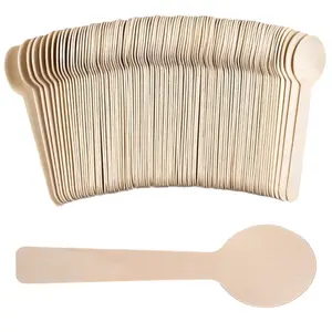 Bulk Mini Wooden Spoons, 4 inch Length, Disposable Tasting Sampling Spoons, Biodegradable Birchwood Taster Spoons