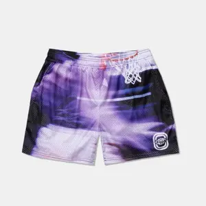 Overtime Motion Blur Hoop Mesh Shorts