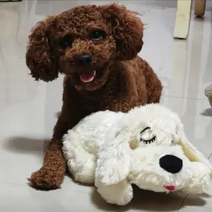 Heartbeat Dog Plush Toy, Pet Anxiety Relief & Calming Tool, Comfortable Dog Toy, Behavior Training & Sleep Aid, Hugging Companion, Puppy Poodle