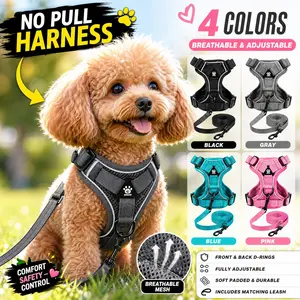 Adjustable Dog Harness Set, No Pull Harness, Breathable Mesh Reflective Anti-Pull Pet Vest for Small Medium Large Dogs, Outdoor Walking Night Safety
