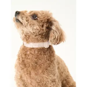 CAT&DOG Pet Safe Collar