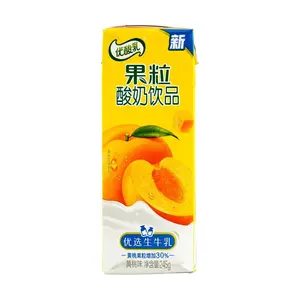 Yili Group Peach Flavored Yogurt Drink - 245g, Probiotic Milk Beverage, Fruity Yogurt Snack for Adults & Kids