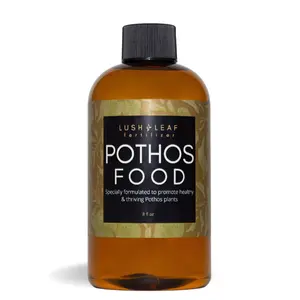 Lush Leaf Pothos Plant Food LIquid Concentrate Fertilizer for all Varieties of Pothos Lush Leaf Pothos Plant Food LIquid Concentrate Fertilizer for all Varieties of Pothos