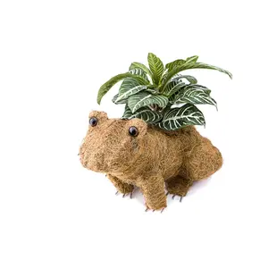 Ultimate Innovations 3090 Coco Animal Planter - Frog