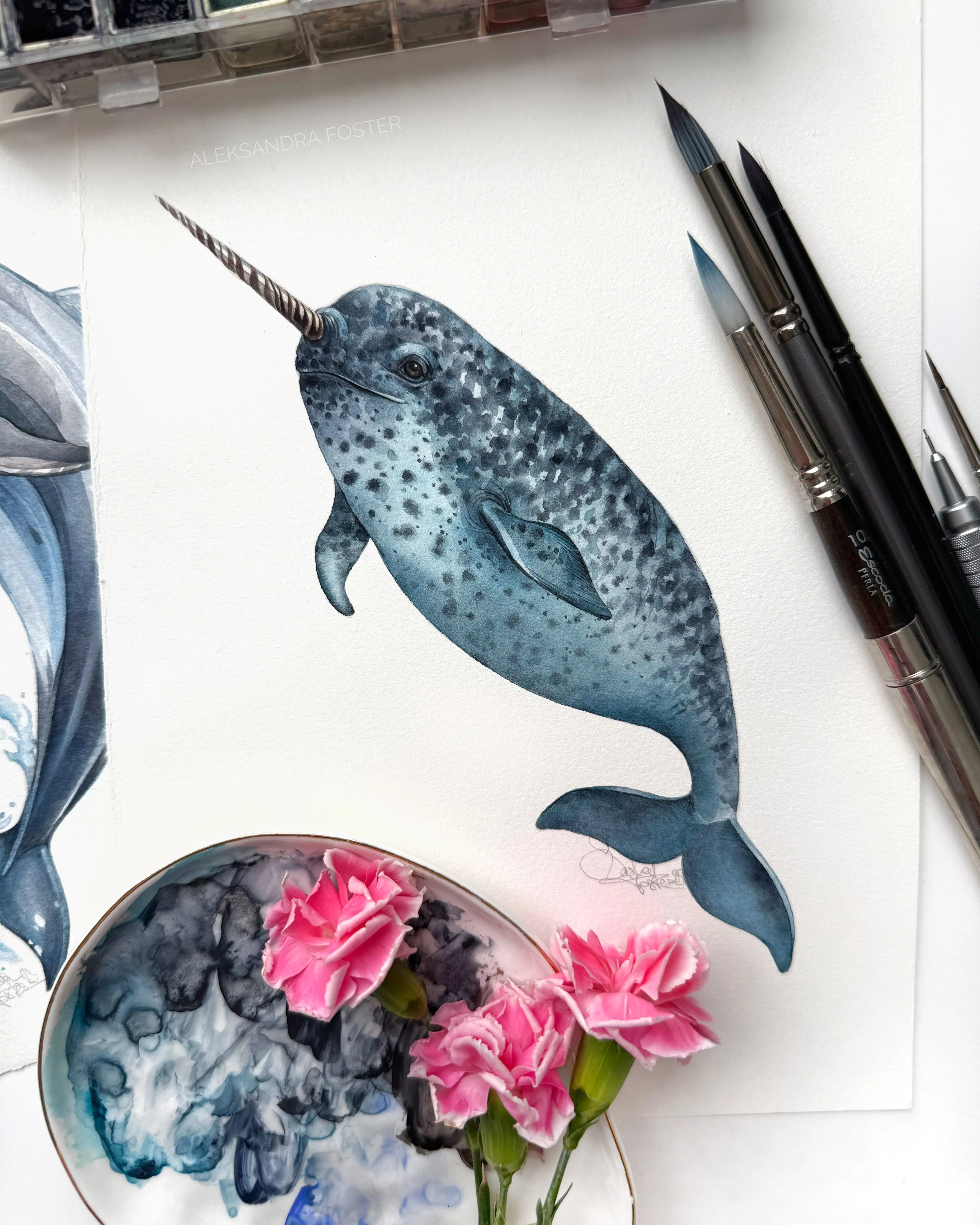 Baby Narwhal. Original watercolor painting.