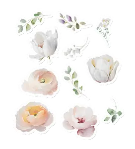 Bloom
