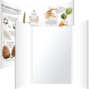 Trifold Poster Board 36"x48", 2 Pack White  Corrugated Display Board Foldable Board for School Projects, Science Fair, Business Presentations, Photo Displays, Graduation Exhibitions
