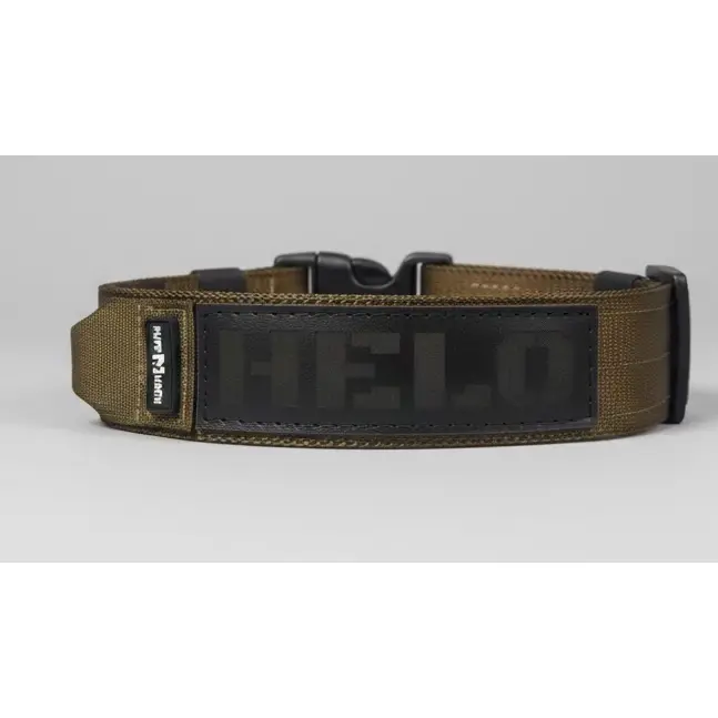 Titan Tactical Elite Collar 1.75" Mil-Spec Type 13 Nylon Webbing with AustriAlpin Cobra Buckle & Personalized Leather Name Tag for Strong Dogs
