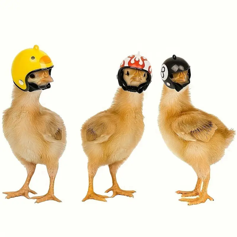 Rainproof Chicken Helmet Hat, Perfect Pet Supplies Essential Protection Gear for Feathers Friends, Safety Cap for Chickens and Parrots, Fun Design Cute Headwear, Versatile Use, Perfect Fit