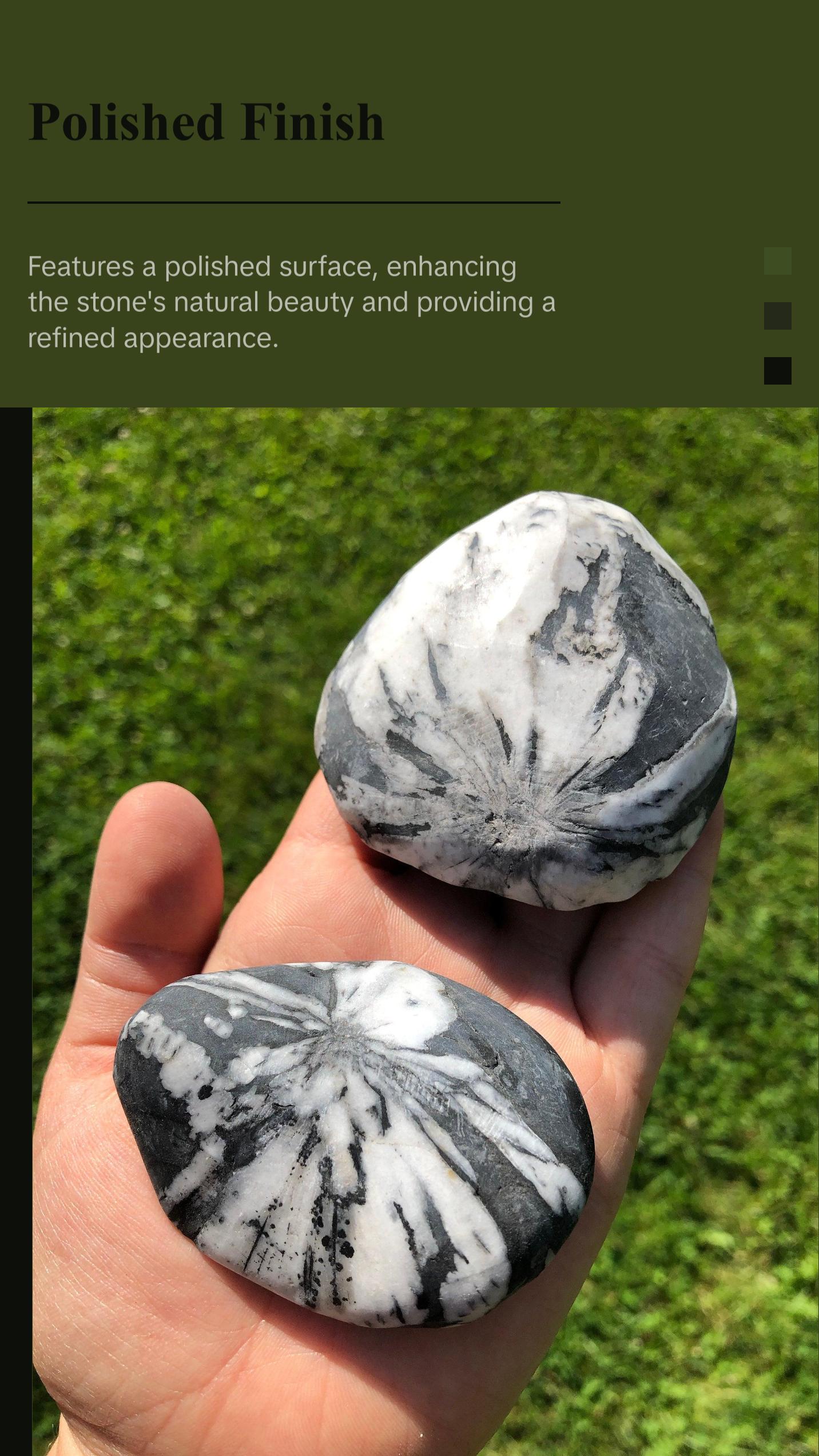 Chrysanthemum Palm Stone - Polished Stone Oval