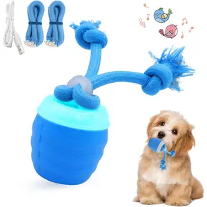 Interactive Dog Toy Ball,Automatic Moving Dog Ball with Bird Sound & Bluetooth Music,3 Play Modes Self Rolling Dog Ball,USB Rechargeable Toys for Boredom Small Medium Dogs,Not for Aggressive Chewers.