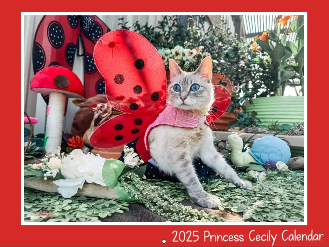 2025 Princess Cecily Calendar