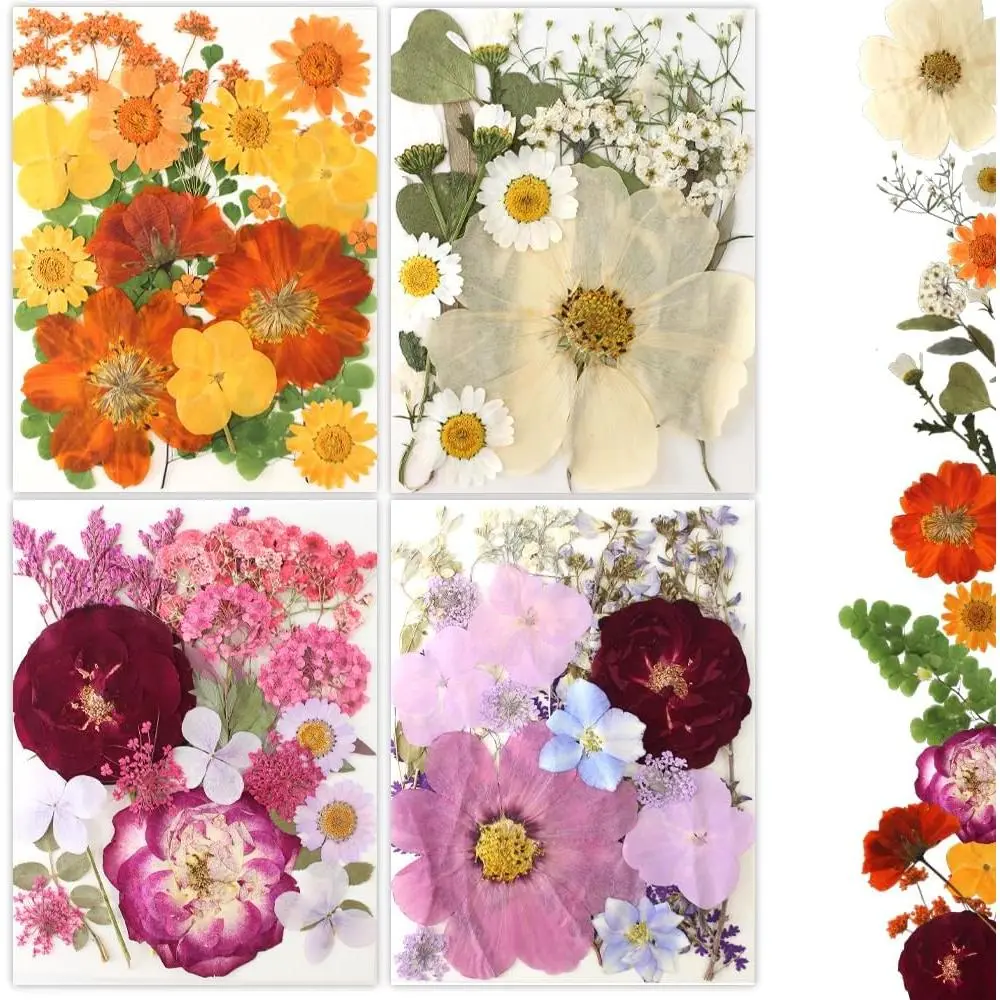 80Pcs Pressed Flowers, Dried Flowers Natural Pressed Flowers Bulk for Resin Molds, Nail Art, Scrapbooking, Candle Holder, Jewelry Making, Real Dried Pressed Flowers DIY Crafts Supplies Kit