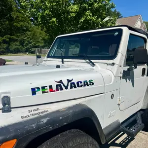 PELAVACAS Decal Sticker Car Exterior Accessory 40x7 Inches White Outdoor Vinyl Fits Windshield Windows Doors House Walls Decoration Custom