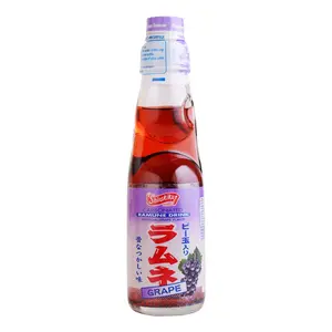 SHIRAKIKU Japanese Grape Ramune Soda Drink - 200ml Bottle, Fun Marble Soda for Kids & Adults SHIRAKIKU Japanese Grape Ramune Soda Drink - 200ml Bottle, Fun Marble Soda for Kids & Adults