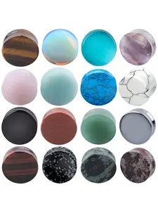 2Pcs Stone Ear Plugs Gauges Earrings Women Men Ear Plug Flesh Tunnel Piercing Expander Ear Stretcher Body Piercing Jewelry High Quality Earrings