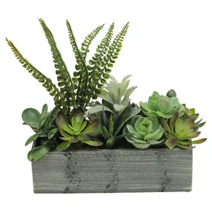 Northlight 11.75" Artificial Succulent Plants in Planter