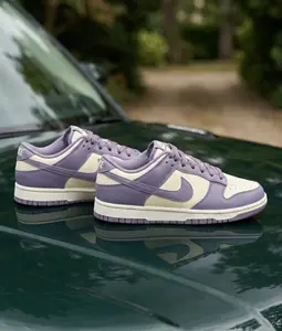 Nike Dunk Low Next Nature Daybreak FZ4349-100 Womens Fashion Sneaker New