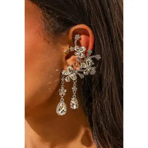 WRAPPED AROUND EARRING