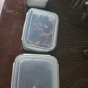 5 Pack Fridge Organizers and Storage - Stackable Fruit Storage Containers for Fridge with Removable Colander, BPA-Free Food Storage Container for Salad Berry Lettuce Vegetables Meat Keeper Fresh