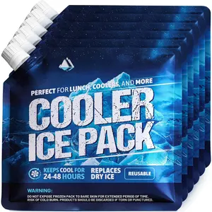 Ice Packs for Cooler and Lunch Boxes, 6 Pack Long Lasting Freezer Packs, Keeps Cold for 24-48 Hours, Replaces Dry Ice, Leak-Proof, ,  Safe, 10 x 10 inches