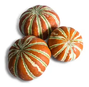 Rare Indian Kajari melon Seeds