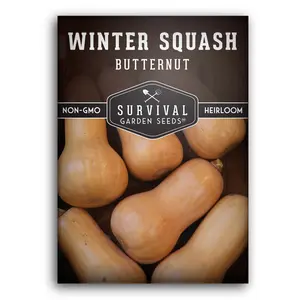 Survival Garden Seeds Winter Squash Butternut Non-GMO Seed