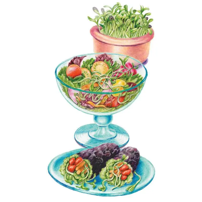 Black Oil Sunflower Microgreens Seeds - Nutritious, High-Protein, Unsaturated Fat-Packed for Home Garden Planting Supplies