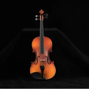 Brand new acoustic violin set (includes case, bow, rosin, tuner, shoulder rest, strings, and tone marks